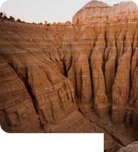 Sawariya Tour and Travels