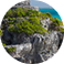 Sawariya Tour and Travels